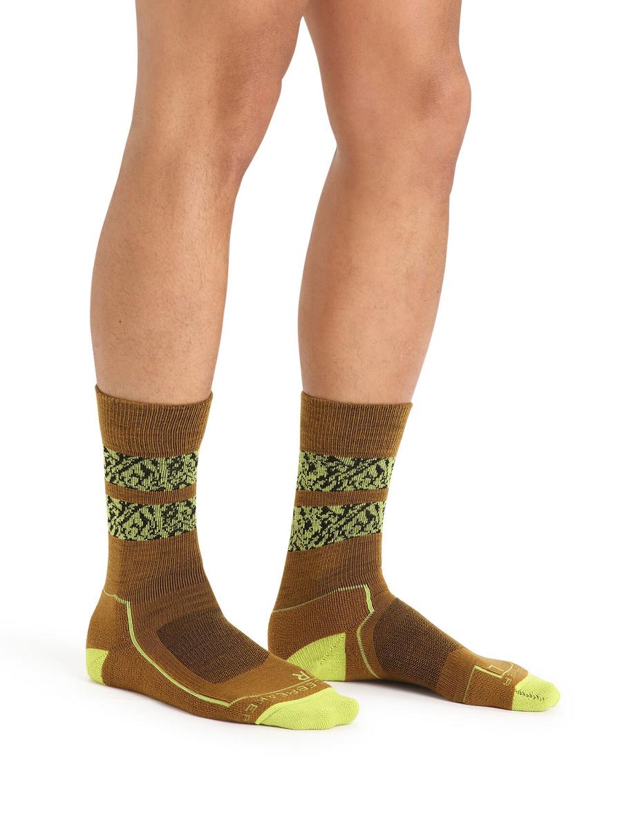 Clove / Shine Men's Icebreaker Merino Hike+ Light Crew Natural Summit Socks | USA 1007VRWD